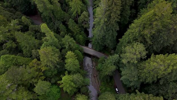 Aerial view of a road bridge over a stream in a forest United States. Aerial view of a road bridge over a stream in a forest United States.