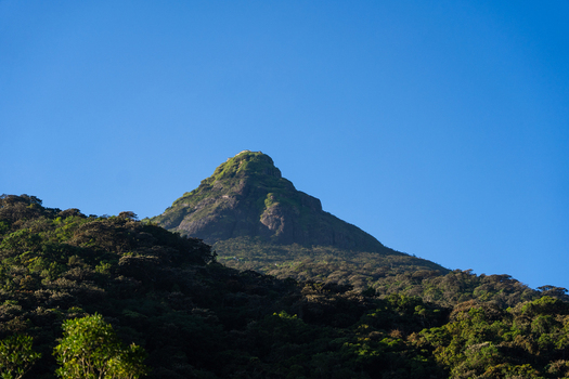 View of the iconic conical summit of Adam s Peak rising above lush green mountain slopes under a clear blue sky in Ratnapura Sabaragamuwa Province Sri Lanka. View of the iconic conical summit of Adam s Peak rising above lush green mountain slopes under a clear blue sky in Ratnapura Sabaragamuwa Province Sri Lanka.