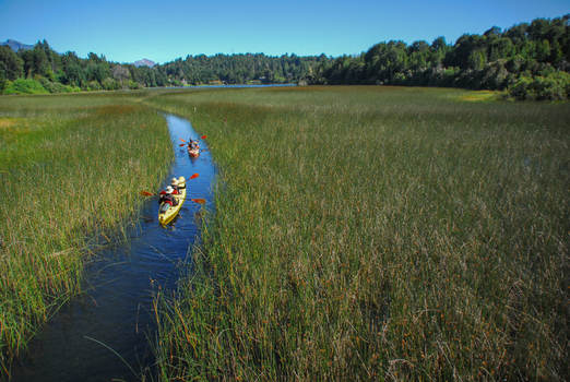 View of people kayaking in a narrow water channel through dense green reeds towards Nahuel Huapi Lake San Carlos de Bariloche Rio Negro Argentina. View of people kayaking in a narrow water channel through dense green reeds towards Nahuel Huapi Lake San Carlos de Bariloche Rio Negro Argentina.