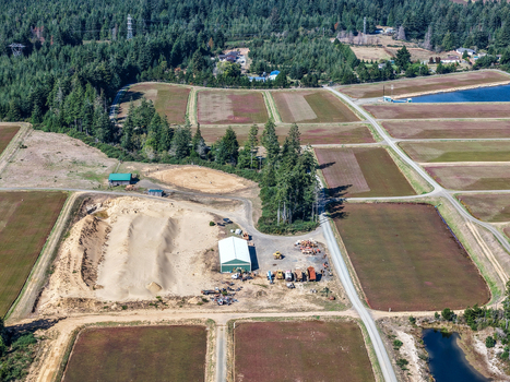 Aerial view of cranberry bogs with surrounding forest dirt roads and agricultural buildings in Bandon Oregon United States. Aerial view of cranberry bogs with surrounding forest dirt roads and agricultural buildings in Bandon Oregon United States.