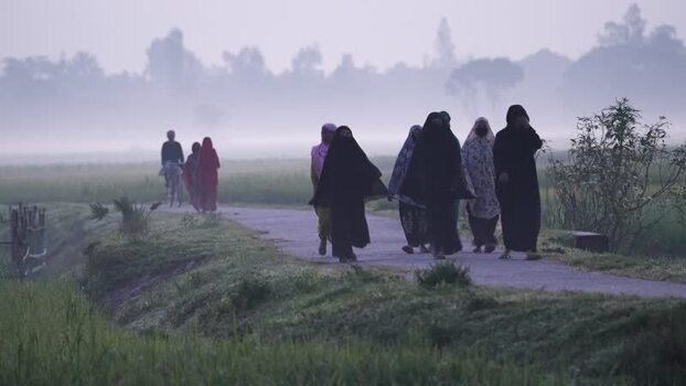 View of women walking on a rural path in the mist Bangladesh. View of women walking on a rural path in the mist Bangladesh.