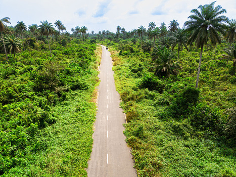 Aerial view of a straight asphalt road cutting through a dense tropical forest with lush palm trees under an overcast sky Ahoada I Rivers Nigeria. Aerial view of a straight asphalt road cutting through a dense tropical forest with lush palm trees under an overcast sky Ahoada I Rivers Nigeria.