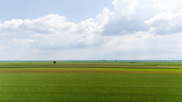 Aerial view of vast agricultural fields and green plains stretching towards the horizon under a cloudy sky in Novi Sad Vojvodina Serbia. Aerial view of vast agricultural fields and green plains stretching towards the horizon under a cloudy sky in Novi Sad Vojvodina Serbia.