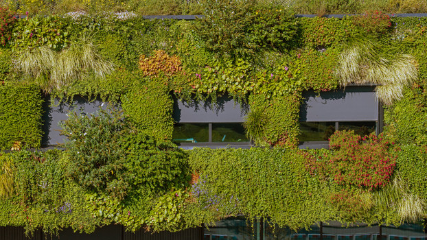 Aerial view of a lush vertical garden covering a building facade with diverse plant species and windows in Almere Flevoland Netherlands.