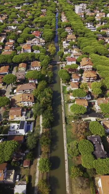 Aerial view of canal and pine forest in Cervia Italy.