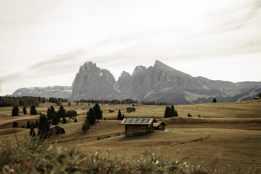 View of traditional wooden alpine huts nestled in the golden meadows of the Dolomites with rugged mountain peaks under a soft overcast sky in Italy.