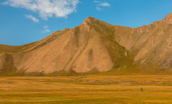 View of a vast golden steppe with a lone person walking towards rugged mountain slopes under a clear blue sky in At Bashi District Naryn Region Kyrgyzstan. View of a vast golden steppe with a lone person walking towards rugged mountain slopes under a clear blue sky in At Bashi District Naryn Region Kyrgyzstan.