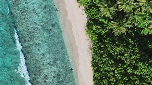 Aerial view of a tropical beach with turquoise water and palm trees Maldives. Aerial view of a tropical beach with turquoise water and palm trees Maldives.