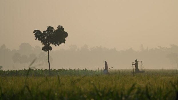 View of farmers walking in a misty field Bangladesh.