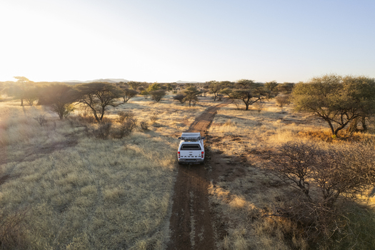 Aerial view of a lone white car traversing a dirt track through the golden savannah trees dotting the landscape under the warm glow of the sun Windhoek Namibia. Aerial view of a lone white car traversing a dirt track through the golden savannah trees dotting the landscape under the warm glow of the sun Windhoek Namibia.
