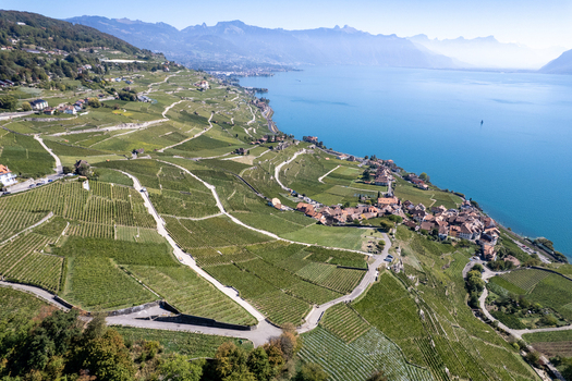 Aerial view of the terraced vineyards of Vignoble du Lavaux overlooking Lake Geneva with the village of Rivaz Vaud Switzerland.