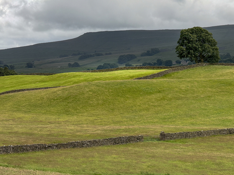 View of rolling green hills and traditional dry stone walls under a cloudy sky in the Yorkshire Dales Hawes England United Kingdom. View of rolling green hills and traditional dry stone walls under a cloudy sky in the Yorkshire Dales Hawes England United Kingdom.