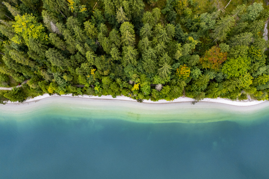 Aerial view of emerald waters meeting a pristine sandy shore beneath a dense forest canopy Plansee Tyrol Austria. Aerial view of emerald waters meeting a pristine sandy shore beneath a dense forest canopy Plansee Tyrol Austria.
