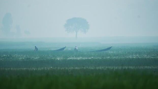 View of fishermen in small boats on a misty field Bangladesh.