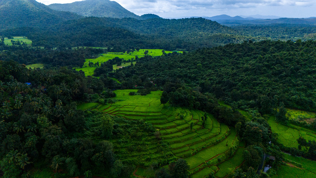 Aerial view of the lush green forest and terraced fields of Cotigao Wildlife Sanctuary nestled among rolling hills under a cloudy sky in Cotigao Goa India.