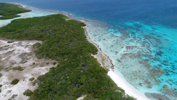 Aerial view of Los Roques archipelago featuring lush green vegetation white sand beaches and vibrant turquoise coral reef waters in Los Roques Dependencias Federale Venezuela. Aerial view of Los Roques archipelago featuring lush green vegetation white sand beaches and vibrant turquoise coral reef waters in Los Roques Dependencias Federale Venezuela.
