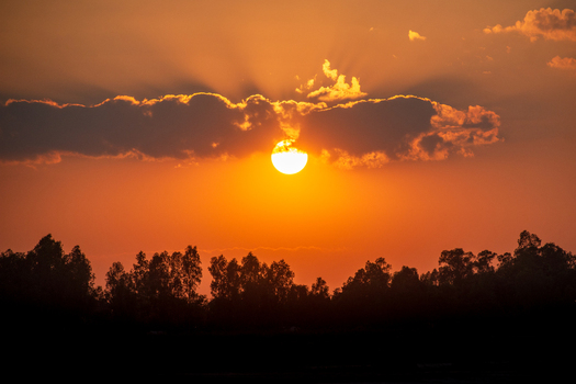 View of a vibrant sunset with the sun partially obscured by dark clouds above a silhouette of dense trees in Bogura Rajshahi Division Bangladesh. View of a vibrant sunset with the sun partially obscured by dark clouds above a silhouette of dense trees in Bogura Rajshahi Division Bangladesh.