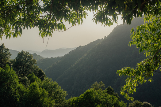 Aerial view of the lush green mountain slopes and dense forests of Dharamkot under a hazy sky in Dharamshala Himachal Pradesh India.
