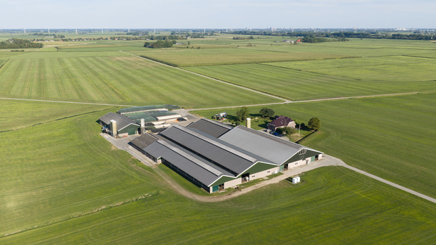 Aerial view of a large dairy farm complex surrounded by vast green agricultural fields under a clear sky in Groningen Groningen Netherlands. Aerial view of a large dairy farm complex surrounded by vast green agricultural fields under a clear sky in Groningen Groningen Netherlands.