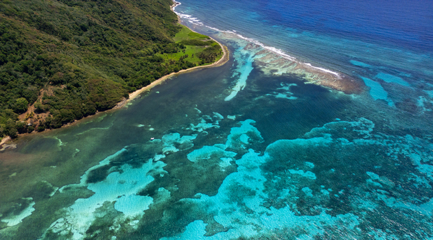 Aerial view of the lush tropical coastline and vibrant coral reefs under clear turquoise waters of Guanaja Bay Islands Department Honduras. Aerial view of the lush tropical coastline and vibrant coral reefs under clear turquoise waters of Guanaja Bay Islands Department Honduras.