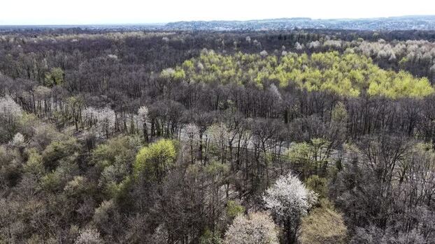 Aerial view of forest and city skyline France.