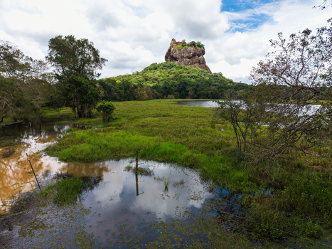Aerial view of Sigiriya Lion Rock rising above lush green forests and wetlands under a cloudy sky Sigiriya Central Province Sri Lanka. Aerial view of Sigiriya Lion Rock rising above lush green forests and wetlands under a cloudy sky Sigiriya Central Province Sri Lanka.