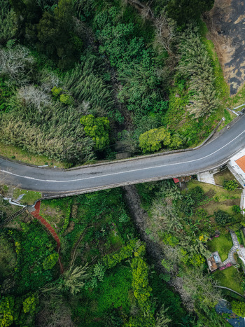 Aerial view of a winding road cutting through vibrant green foliage a symphony of nature s hues Agua de Alto Azores Portugal.