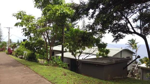 View of tropical garden houses and ocean Pitcairn Islands.