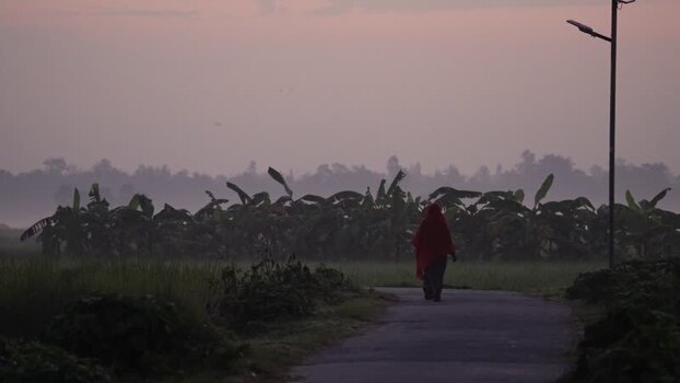 View of a woman walking on a rural road in Bogura Bangladesh. View of a woman walking on a rural road in Bogura Bangladesh.
