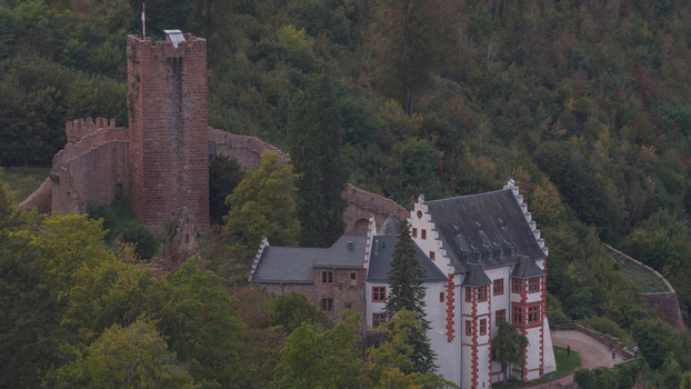 Aerial view of Burg Miltenberg featuring its historic stone tower and white castle building surrounded by dense forest in Miltenberg Bayern Germany. Aerial view of Burg Miltenberg featuring its historic stone tower and white castle building surrounded by dense forest in Miltenberg Bayern Germany.