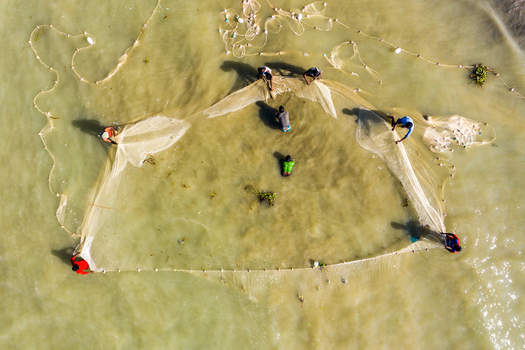 Aerial view of fishermen working together to pull a large fishing net through the shallow coastal waters in Kuakata Barisal Division Bangladesh. Aerial view of fishermen working together to pull a large fishing net through the shallow coastal waters in Kuakata Barisal Division Bangladesh.