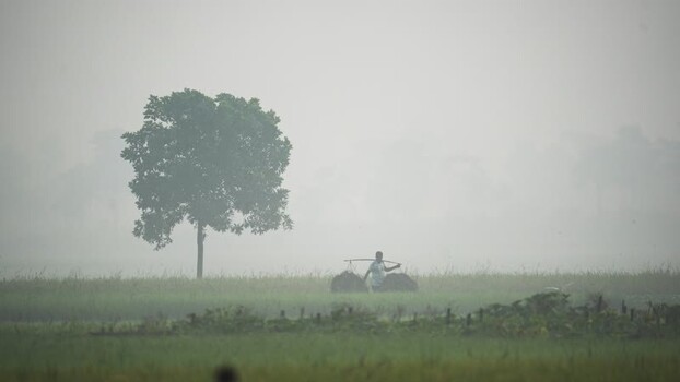 View of a farmer walking through a foggy field Bangladesh.