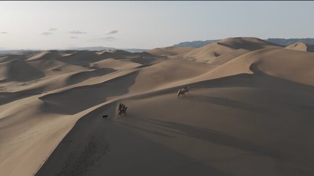 Aerial view of camels in the Gobi Desert Mongolia. Aerial view of camels in the Gobi Desert Mongolia.