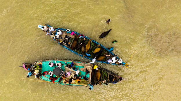 Aerial view of Baish Mowza Sarak Bazar with two wooden boats carrying people and livestock across the river in Nabinagar Chittagong Division Bangladesh. Aerial view of Baish Mowza Sarak Bazar with two wooden boats carrying people and livestock across the river in Nabinagar Chittagong Division Bangladesh.