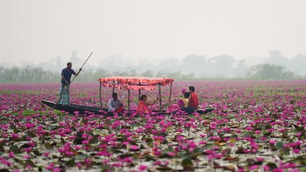 View of people in a boat on a pink water lily pond Bangladesh. View of people in a boat on a pink water lily pond Bangladesh.