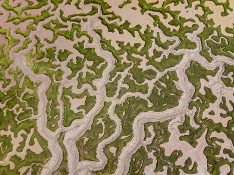 Aerial view of intricate salt marsh channels and green vegetation patterns in Andalusia Spain. Aerial view of intricate salt marsh channels and green vegetation patterns in Andalusia Spain.