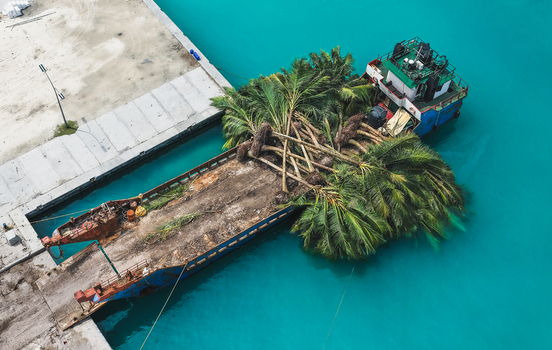 Aerial view of a cargo barge transporting large uprooted palm trees docked at a concrete pier in turquoise waters Hanimaadhoo Haa Dhaalu Atoll Maldives. Aerial view of a cargo barge transporting large uprooted palm trees docked at a concrete pier in turquoise waters Hanimaadhoo Haa Dhaalu Atoll Maldives.