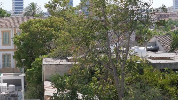 Aerial view of Nicosia cityscape with trees and buildings Cyprus.