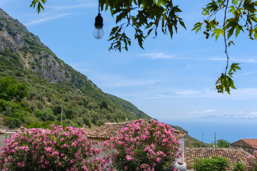 View of pink oleander flowers in bloom and traditional stone rooftops overlooking the Ionian Sea and lush mountain slopes in Qeparo Fshat Vlore County Albania. View of pink oleander flowers in bloom and traditional stone rooftops overlooking the Ionian Sea and lush mountain slopes in Qeparo Fshat Vlore County Albania.