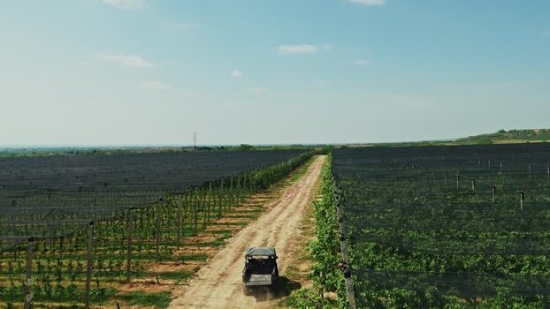 Aerial view of vineyard in Mala Remeta Serbia.
