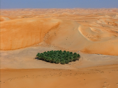 Aerial view of the Bateen Liwa oasis with green palm trees nestled among vast orange sand dunes in the desert Al Dhafra Region Abu Dhabi United Arab Emirates. Aerial view of the Bateen Liwa oasis with green palm trees nestled among vast orange sand dunes in the desert Al Dhafra Region Abu Dhabi United Arab Emirates.