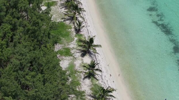 Aerial view of Belle Mare Beach in Quatre Cocos Mauritius.