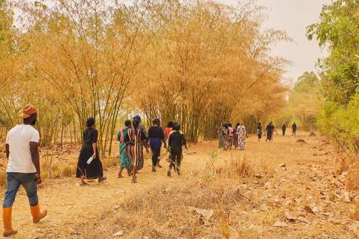 Kundu Federal Capital Territory Nigeria 19 September 2026 View of a group of people walking along a dirt path through the SCL Agroindustrial Farm surrounded by tall bamboo trees. Kundu Federal Capital Territory Nigeria 19 September 2026 View of a group of people walking along a dirt path through the SCL Agroindustrial Farm surrounded by tall bamboo trees.