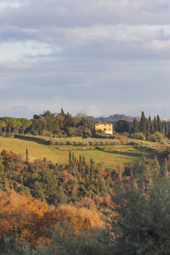 View of a traditional stone villa nestled among cypress trees and olive groves on the rolling hills of the Tuscan countryside Monteriggioni Tuscany Italy. View of a traditional stone villa nestled among cypress trees and olive groves on the rolling hills of the Tuscan countryside Monteriggioni Tuscany Italy.