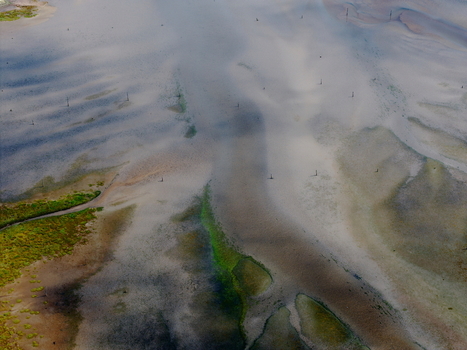 Aerial view of abstract tidal patterns at Culbin Sands with intricate sandy channels and patches of green vegetation in Nairn Scotland United Kingdom. Aerial view of abstract tidal patterns at Culbin Sands with intricate sandy channels and patches of green vegetation in Nairn Scotland United Kingdom.