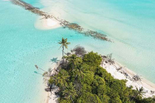 Aerial view of a lush tropical island with tall palm trees and dense vegetation surrounded by crystal clear turquoise lagoon water Innafinolhu Haa Alif Atoll Maldives. Aerial view of a lush tropical island with tall palm trees and dense vegetation surrounded by crystal clear turquoise lagoon water Innafinolhu Haa Alif Atoll Maldives.