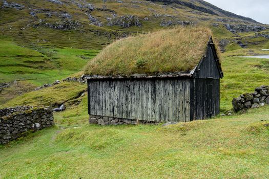 View of a traditional wooden shed with a grass roof situated in a lush green hilly landscape with stone walls in the Faroe Islands.