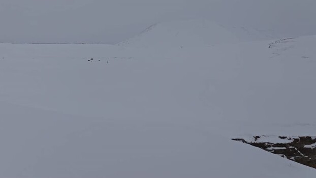 Aerial view of snowy mountains in Pyramiden Svalbard and Jan Mayen.