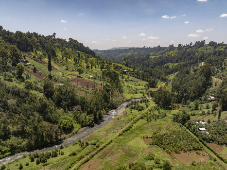 Aerial view of a verdant valley carved by a winding river where cultivated fields meet dense forests under a vast sky Nyeri Nyeri Kenya. Aerial view of a verdant valley carved by a winding river where cultivated fields meet dense forests under a vast sky Nyeri Nyeri Kenya.