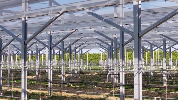 Aerial view of agricultural greenhouse in Faenza Italy.